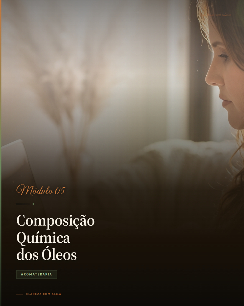 Composição Química