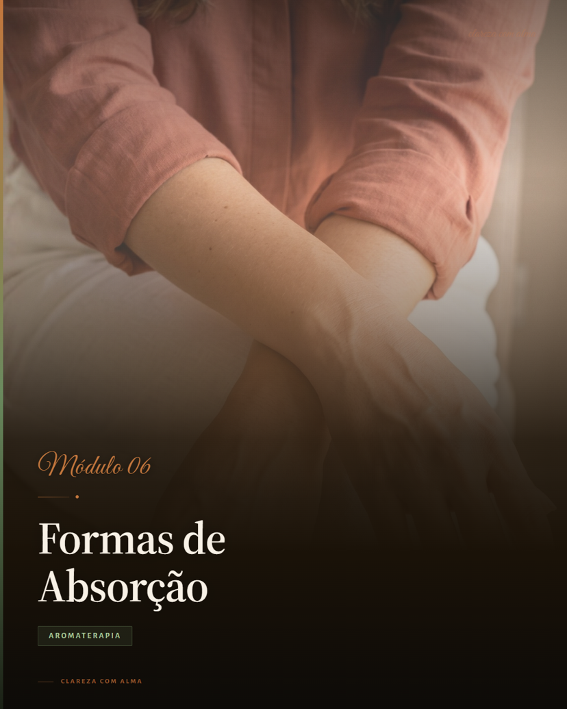 Formas de Absorção
