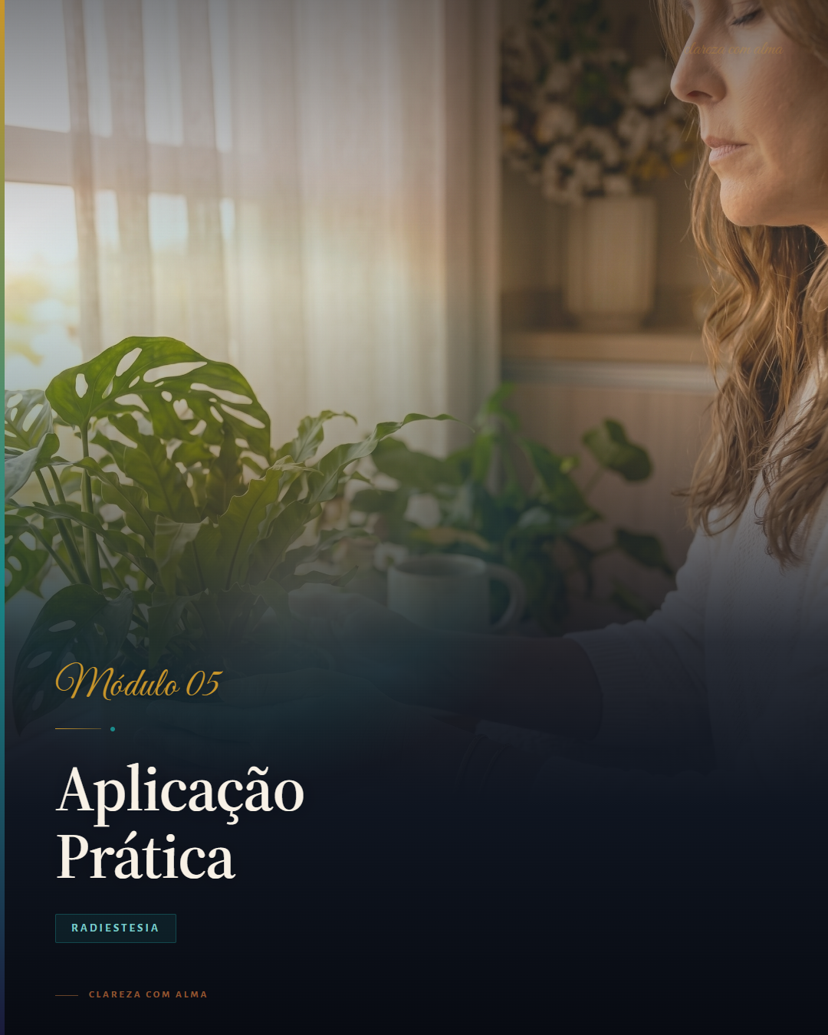 Aplicação Prática