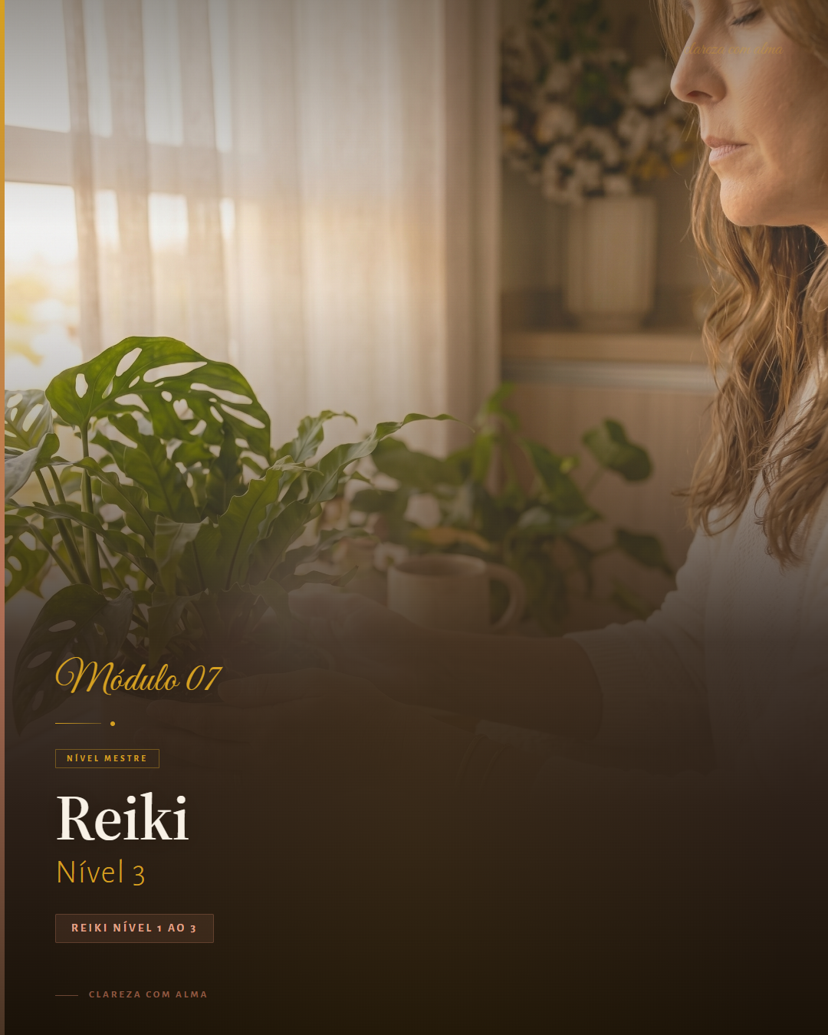 Reiki Nível 3