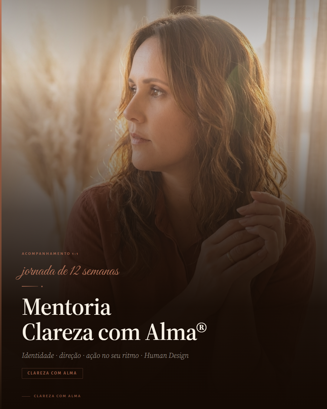mentoria